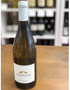 Fiumicicoli Blanc Domaine 2025